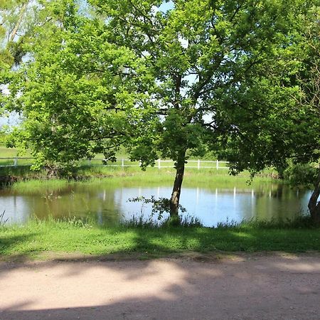 Le Domaine Du Mijarnier Bed & Breakfast Montbeugny Luaran gambar
