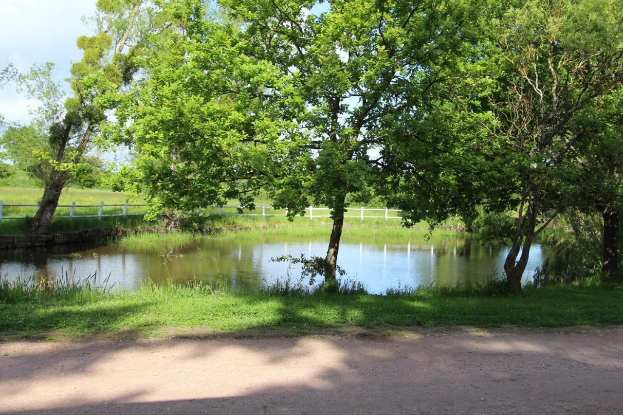 Le Domaine Du Mijarnier Bed & Breakfast Montbeugny Luaran gambar