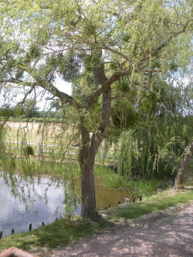 Le Domaine Du Mijarnier Bed & Breakfast Montbeugny Luaran gambar