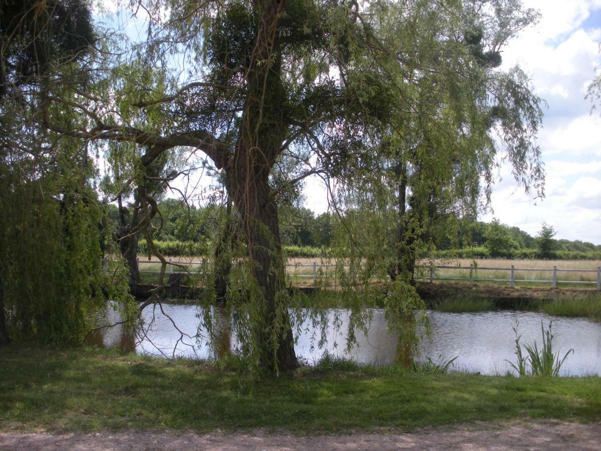 Le Domaine Du Mijarnier Bed & Breakfast Montbeugny Luaran gambar
