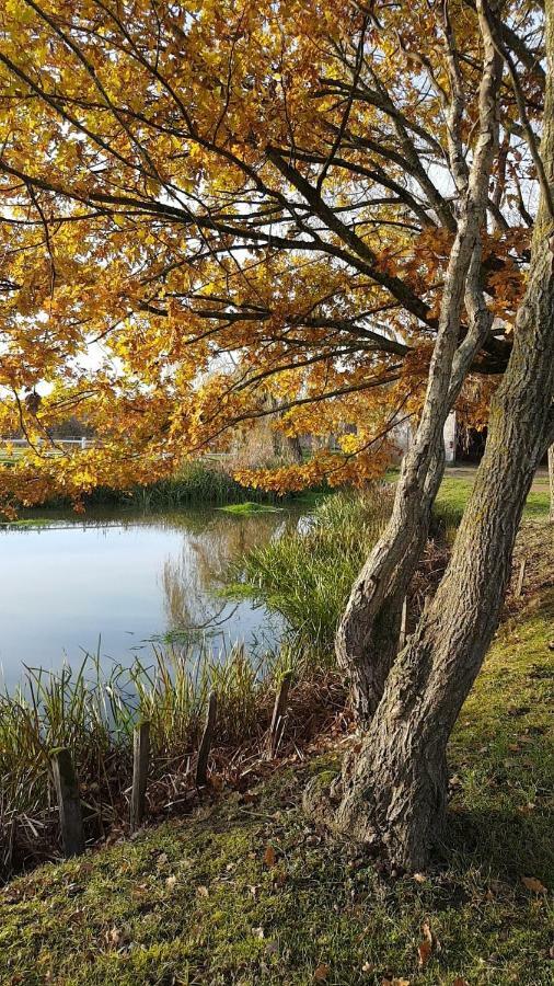 Le Domaine Du Mijarnier Bed & Breakfast Montbeugny Luaran gambar